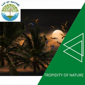 Tropidity of Nature - Calm Music