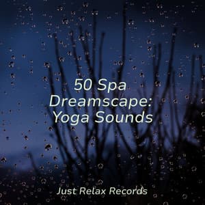 50 Spa Dreamscape: Yoga Sounds - Ambient