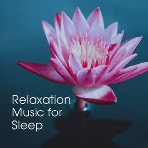 Relaxation Music for Sleep - Sounds of Nature White Noise for Mindfulness