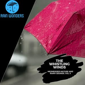 The Whistling Winds - Mesmerised Nature and Rainy Sounds, Vol. 5 - Rain Sounds