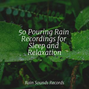 50 Pouring Rain Recordings for Sleep and Relaxation - Zen Music Garden