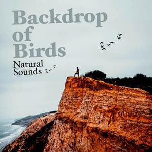 Backdrop of Birds - Nature Sounds & Backgrounds