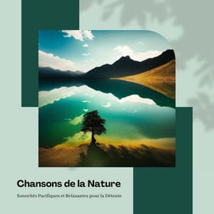 Chansons de la Nature: Sonorités Pacifiques et Relaxantes pour la Détente - Musique Relaxante