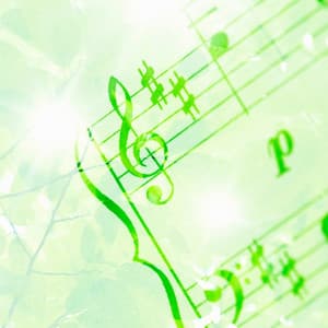 Zenful Melodies: Ambient Music Meditation Retreat - Zen Hanami