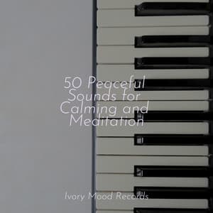 50 Peaceful Sounds for Calming and Meditation - Ivory Mood