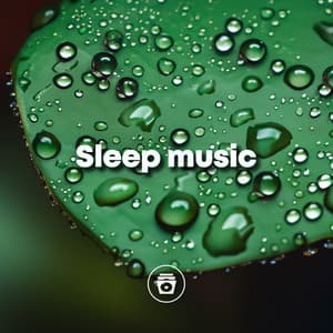 Sleep Music - Rain Sounds & Nature Sounds
