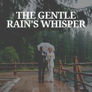 The Gentle Rain's Whisper - Rain for Deep Sleep