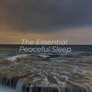 The Essential Peaceful Sleep - Musica de Relajación Academy