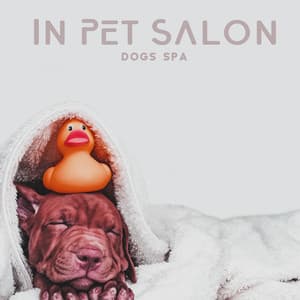 In Pet Salon: Dogs Spa, My Dog's Music - Pet Music Doctor