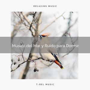 Música del Mar y Ruido para Dormir - Ruido Blanco