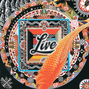 The Distance To Here - Live