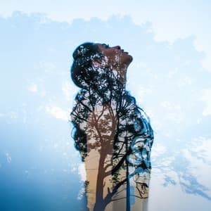 In the Shade of Tranquility - Anti Stress Music Zone