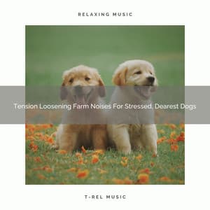 Tension Loosening Farm Noises For Stressed, Dearest Dogs - Dog Total Relax