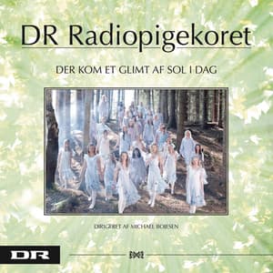 Der Kom Et Glimt Af Sol I Dag - DR PigeKoret