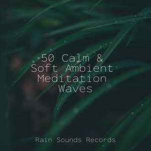 50 Calm & Soft Ambient Meditation Waves - Massage Therapy Music