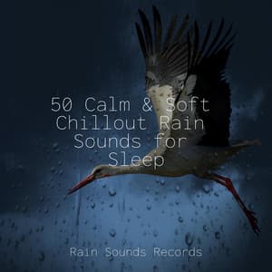 50 Calm & Soft Chillout Rain Sounds for Sleep - Instrumental