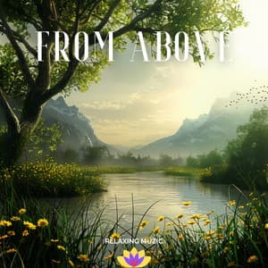 From Above - Relaxing Muzic