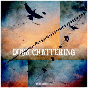Dusk Chattering - Natures Orchestra
