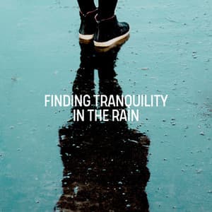 Finding Tranquility in the Rain - Rain Sounds for Relaxation