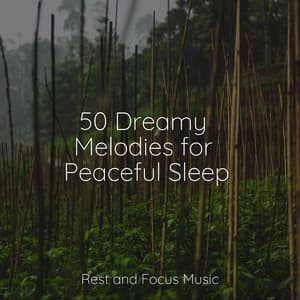 50 Dreamy Melodies for Peaceful Sleep - Deep Focus