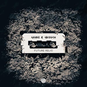 Future Relic - Gaudi