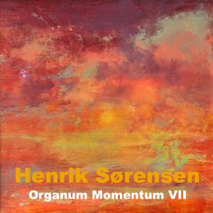 Organum Momentum VII - Henrik Sørensen