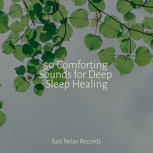 50 Comforting Sounds for Deep Sleep Healing - Japanese Relaxation and Meditation