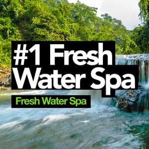 #1 Fresh Water Spa - Fresh Water Spa