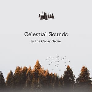 Celestial Sounds in the Cedar Grove - Piano Music Spa