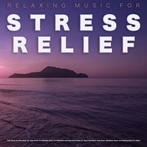 Relaxing Music For Stress Relief: Calm Music For Spa, Music for Yoga, Music For Massage, Music For Meditation and Relaxation, Music For Sleep, Spa Music, Yoga Music, Meditation Music and Sleeping Music For Sleep - Relaxing Music for Stress Relief