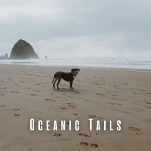 Oceanic Tails: Theta Waves with Binaural Dog Symphonies - Waveframe