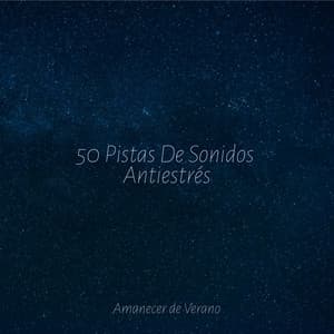 50 Pistas De Sonidos Antiestrés - Canciones de Cuna para Bebés Acadèmico
