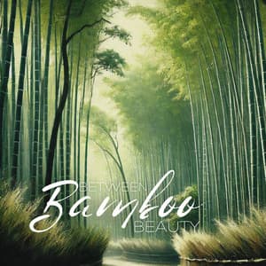 Between Bamboo Beauty - Serenity Music Relaxation