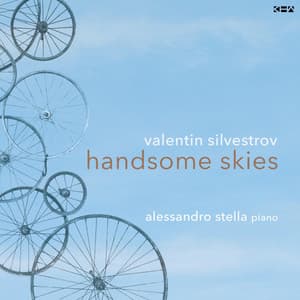 Handsome Skies - Valentin Silvestrov
