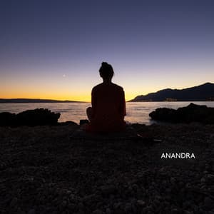 Pool of Consciousness: Echoes Through the Sophrology Spectrum - Anandra