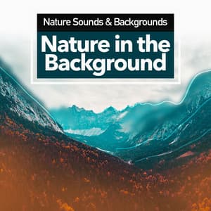 Nature in the Background - Nature Sounds & Backgrounds
