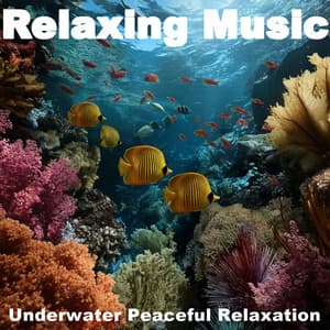 ! ! ! Relaxing Music - Relaxing Music