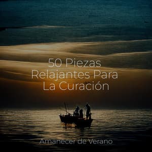 50 Piezas Relajantes Para La Curación - Relajación Meditar Academie