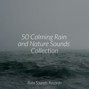 50 Calming Rain and Nature Sounds Collection - New Age
