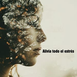 Alivia todo el estrés - Alma Tranquila