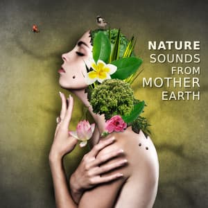 Nature Sounds from Mother Earth: Music for Relaxation, Ambient Serenity, Better Sleep, Theraphy Music for Massage - Serenity Music Academy