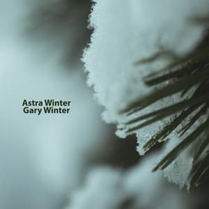 The Embrace of Frost - Astra Winter