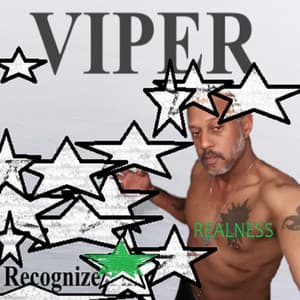 RECOGNIZE REALNESS - Viper