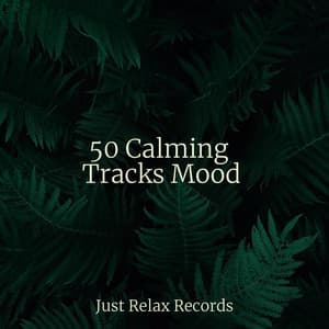 50 Calming Tracks Mood - Mantra para Dormir