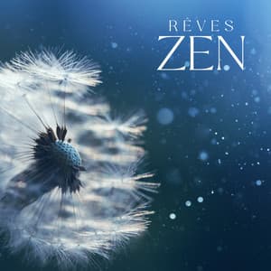 Rêves zen: Musique relaxante pour dormir, Méditation calme, Musique pour un sommeil équilibré - Ensemble de Musique Zen Relaxante