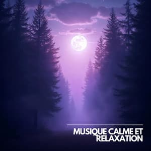 Un Soupir de Paix dans le Temps Suspendu - Musique Calme et Relaxation