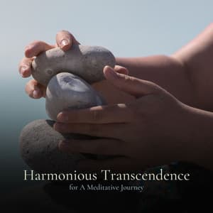* Harmonious Transcendence for A Meditative Journey * - Quit Quick Music