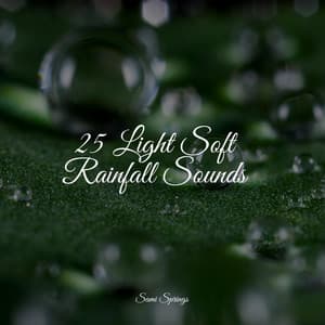 25 Light Soft Rainfall Sounds - Rain Sounds XLE Library