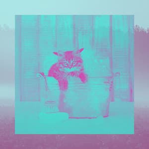 Resting Cats - Fantastic - Cat Music Jukebox