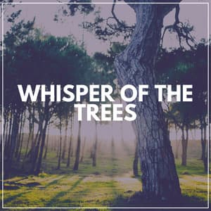 Whisper of the Trees - Calm Music